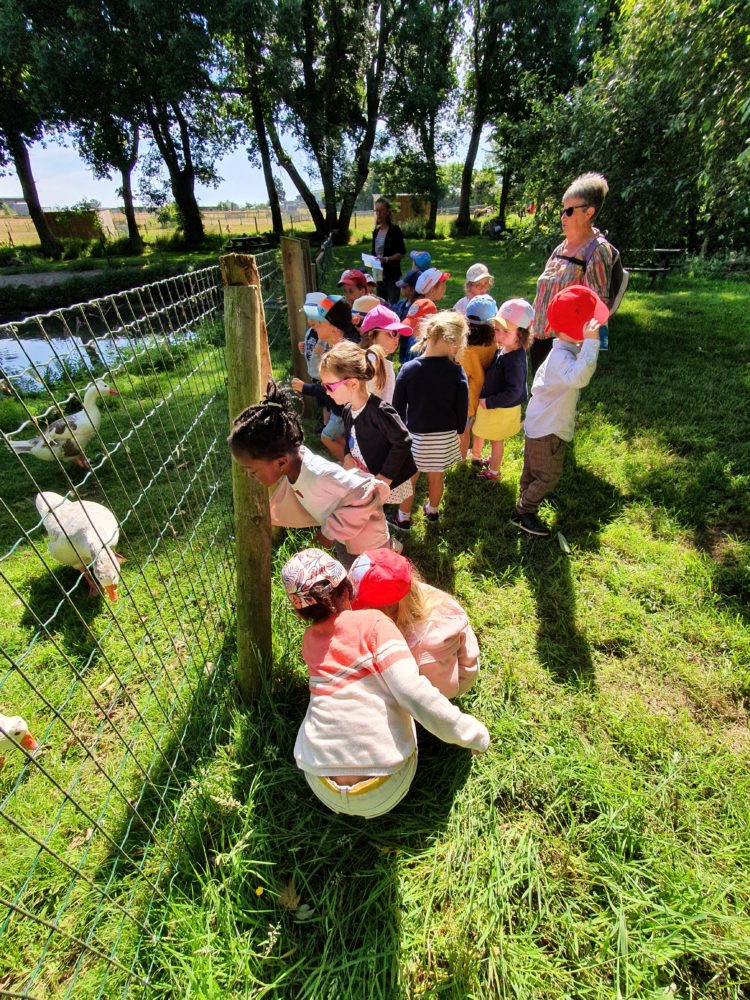 Les TPS-PS à la ferme du Botrai