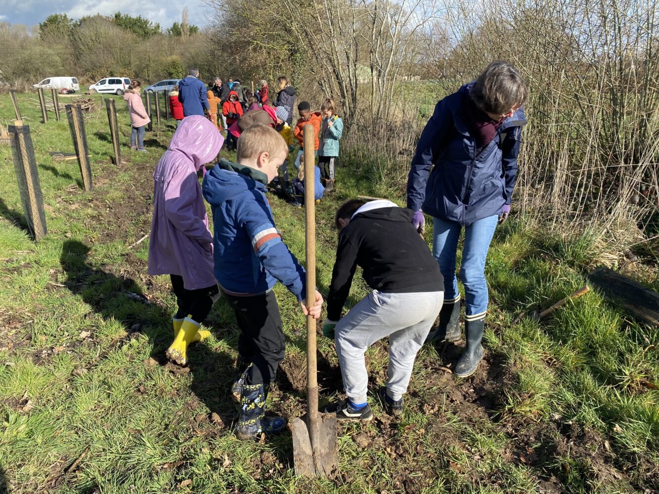 Plantation d’arbres et buissons