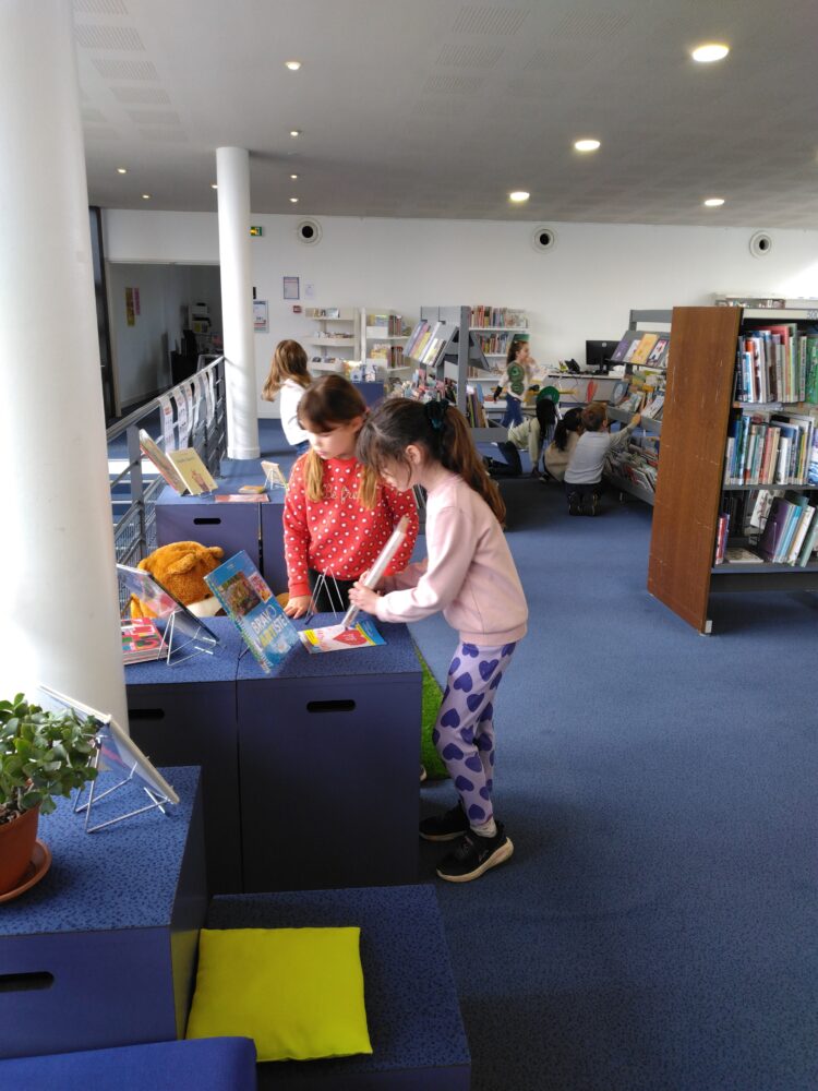 A l’assaut de la bibliothèque