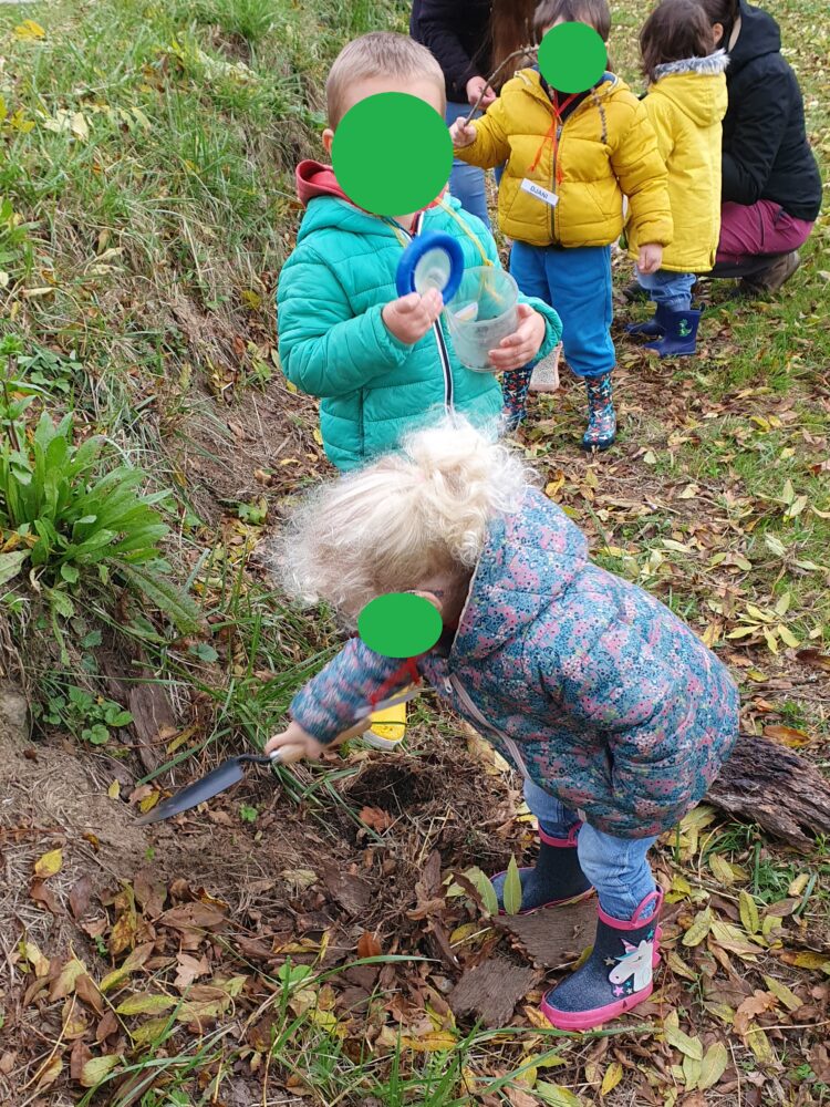 A la recherche des petites bêtes !