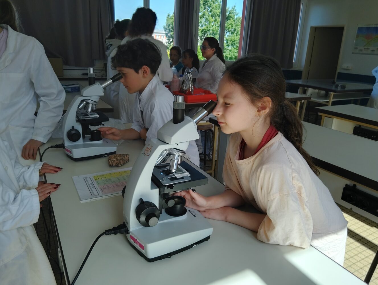 Séance SVT au lycée